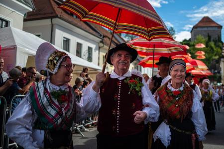Izjemen obisk zaznamoval 50. Dneve narodnih noš in oblačilne dediščine v Kamniku (Blaž T. Muc)  (67)